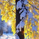 한성종합기계 이미지