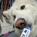 휴베이스다정약국 이미지