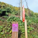 외씨버선길(오일도시인의길) | 외씨버선길 15길_관풍헌가는길