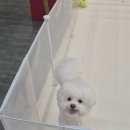 소연닭발 앞 | 2025 하반기