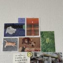 세븐일레븐정동진해변점 이미지