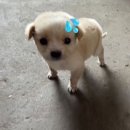 보느파티쓰리 | 부산 교대 맛집 보느파티쓰리 내돈내산 후기 (꿀키부산맛집)