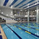 조성체육관 이미지