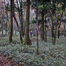 명품베스트 이미지