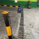 견주 잘못 vs 운전자 잘못 이미지