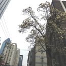 목련1공인중개사사무소 이미지