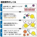 아이들의 아토피성 피부염은 알레르기 체질로 가는 입구? 무시해서는 안되는'경피감작' 이미지