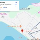 [보홀 투어] 마이리얼트립 '로컬페이지' 발리카삭+나팔링 상세 일정 후기 | 밥이 미슐랭급??