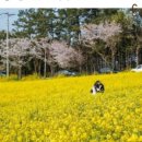 재삼농장 이미지