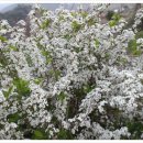 이정화농장 이미지