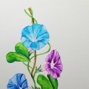 수성펜 수채화 이미지