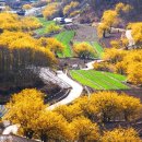 문화마을2길 이미지