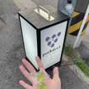 [성수] 루프탑 와인바 ‘포도젝트’ 후기 🍇