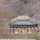 경일경로당 이미지