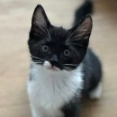 멍꾸기상점 이미지