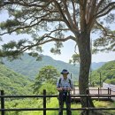 KTX타고 다녀온 남원의 지리산 일대 둘러보기 이미지