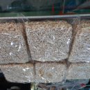 죽장휴게소 이미지