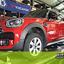 고양화전31 이미지