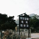 마더스 가든 이미지