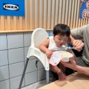 (주)마미닥터 | 닥터리의 로하스밀 로랑이 유찬이의 외출 / 이유식 무료 체험팩 신청 방법 팁 🤎