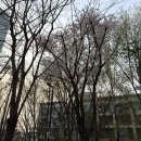 보라현대서비스 | 현대해상 태아보험 사은품 필요한것만