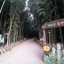 학성목장 이미지