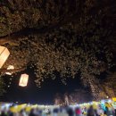 이리오솝 이미지