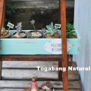 전원목장 이미지