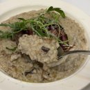 동탄오산로 | 동탄역 맛집 파스타 파올(PAOL) 두번째 방문 후기