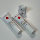 시도19호선 | 셀퓨전씨 비비 리뉴얼 솔직후기 색상 비교 내돈내산