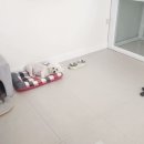 세상 편하개 이미지