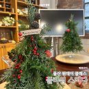 울산 남구 꽃집 플라워 스미다 꽃선물 꽃다발 꽃바구니 크리스마스 트리만들기 원데이 클래스 추천