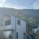 담양 리사 숲속마을 이미지