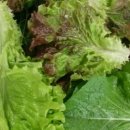 차돌박이농장 이미지