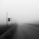 일기일회 이미지