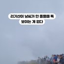 지리산스위스호텔 | 리기산 여행은 날씨 좋을 때 가야 하는 이유(안 좋을 때 간 후기)