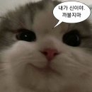 소림마라 여의도점 | 10월 기억력 테스토 시마쇼