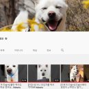 진솔건강원 - 옥천군 지전길 24 | 진솔건강원
