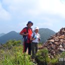 치즈(cheese) 이미지