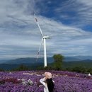 황실모텔 이미지