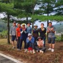 자연대로 이미지