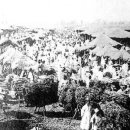 나무전거리 이미지