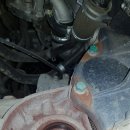 애니모터스 이미지