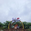 뽑아브러 이미지