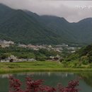 맥도날드 화명 DT 네이버블로그