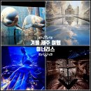 신성자동차서비스 | 제주 동쪽 실내 가볼만한곳 겨울 제주도 혼자 여행 코스 이너리스