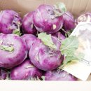 지아 농장 이미지