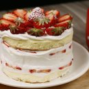 조가네 갑오징어 이미지