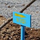 해피빌리지 이미지