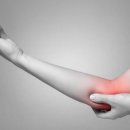 나무 휘트니스 이미지